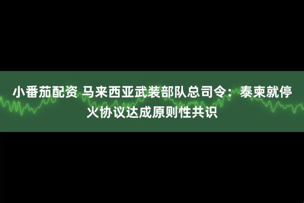 小番茄配资 马来西亚武装部队总司令：泰柬就停火协议达成原则性共识
