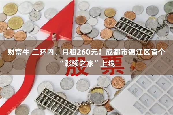 财富牛 二环内、月租260元!成都市锦江区首个“彩领之家”上线
